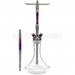 Union Fibonacci - Hybrid Pink Purple